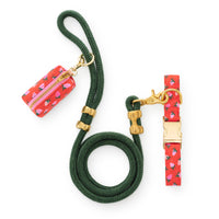 Berry Sweet Collar Walk Set from The Foggy Dog