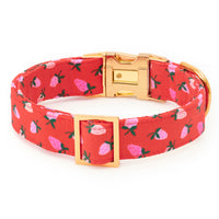 Berry Sweet Dog Collar from The Foggy Dog