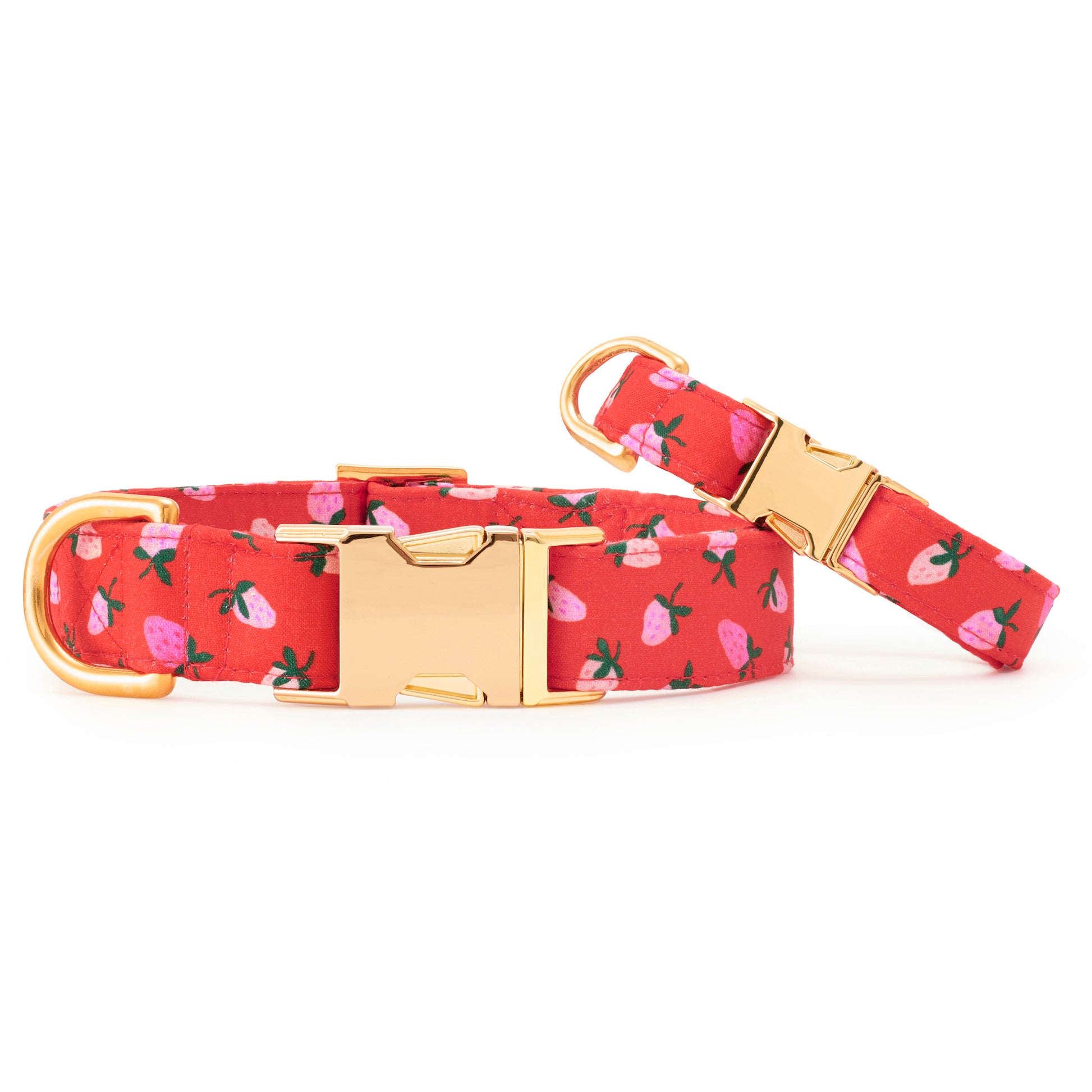 Berry Sweet Dog Collar from The Foggy Dog