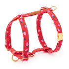 Berry Sweet Dog Harness