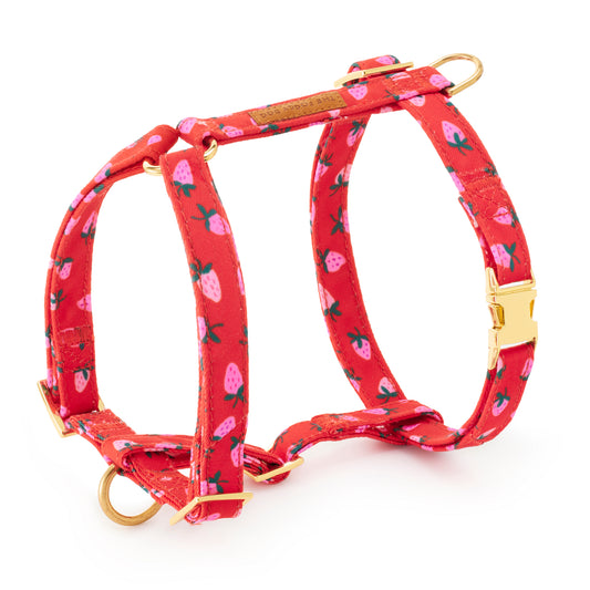 Berry Sweet Harness from The Foggy Dog