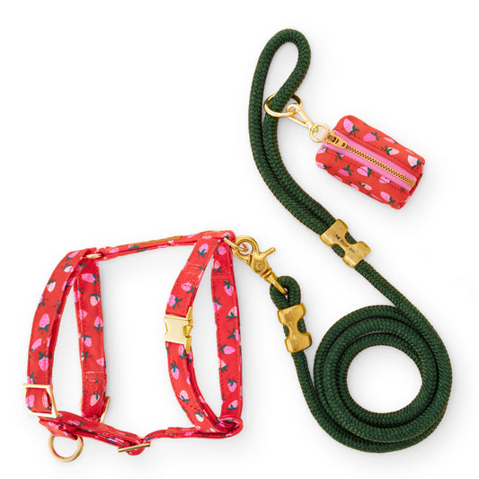 Berry Sweet Harness Walk Set from The Foggy Dog