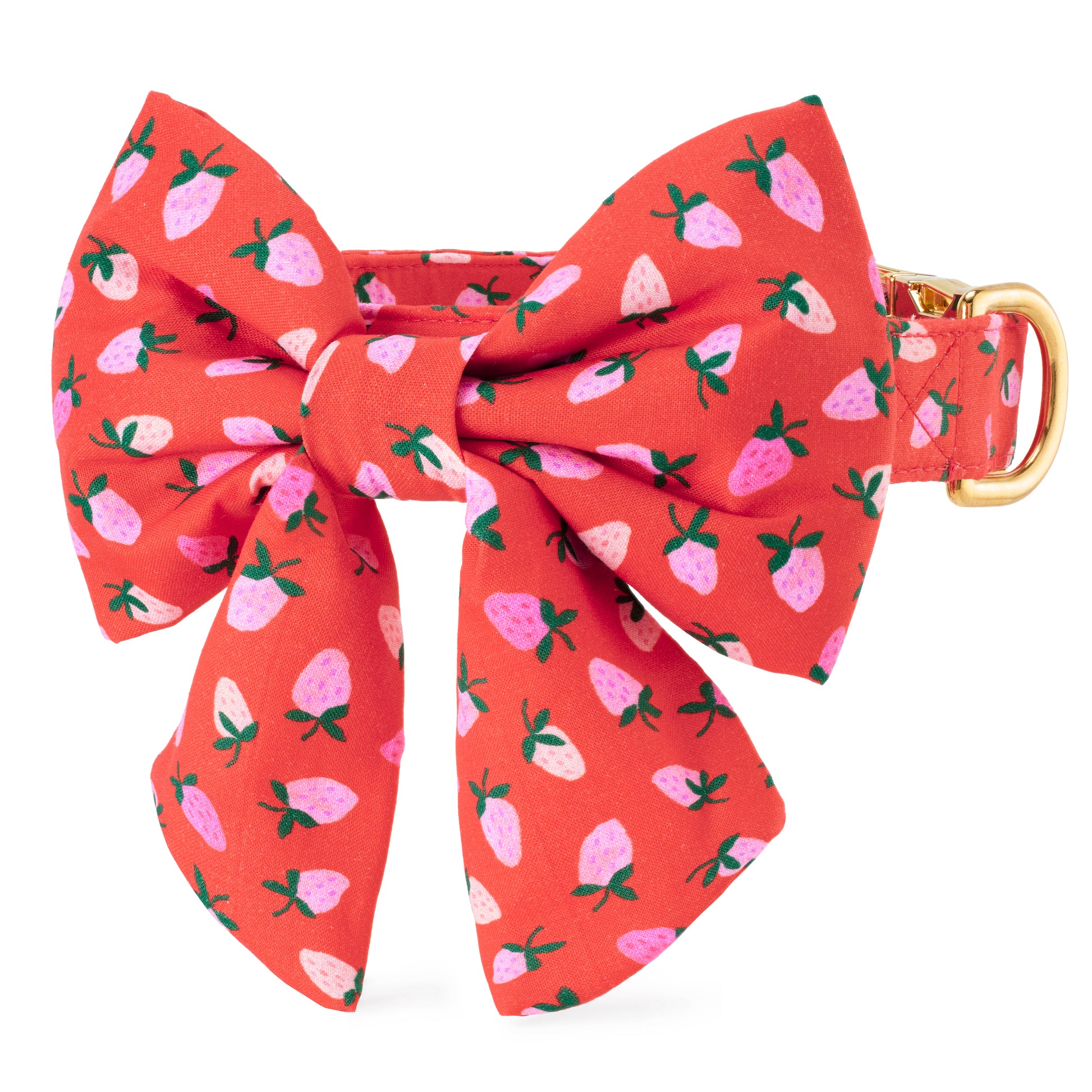 Berry Sweet Lady Bow Collar from The Foggy Dog