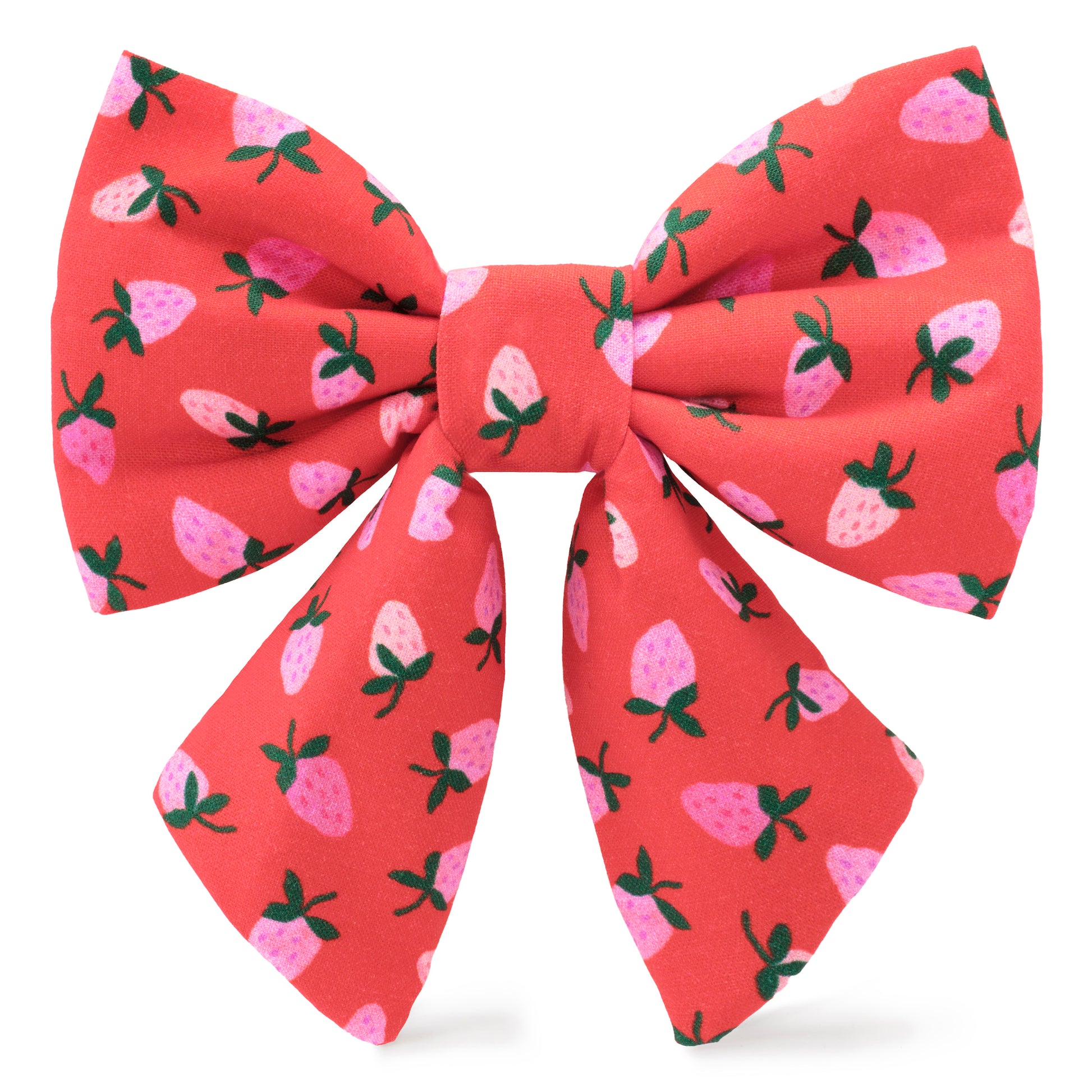 Berry Sweet Lady Dog Bow from The Foggy Dog