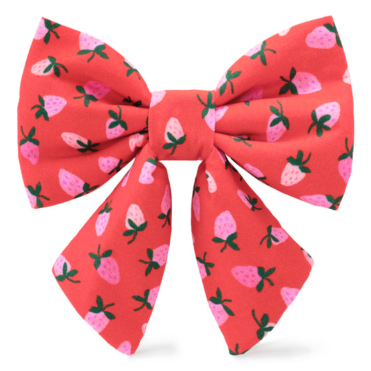 Berry Sweet Lady Dog Bow from The Foggy Dog