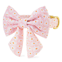 Fresh as a Daisy Lady Bow Collar from The Foggy Dog