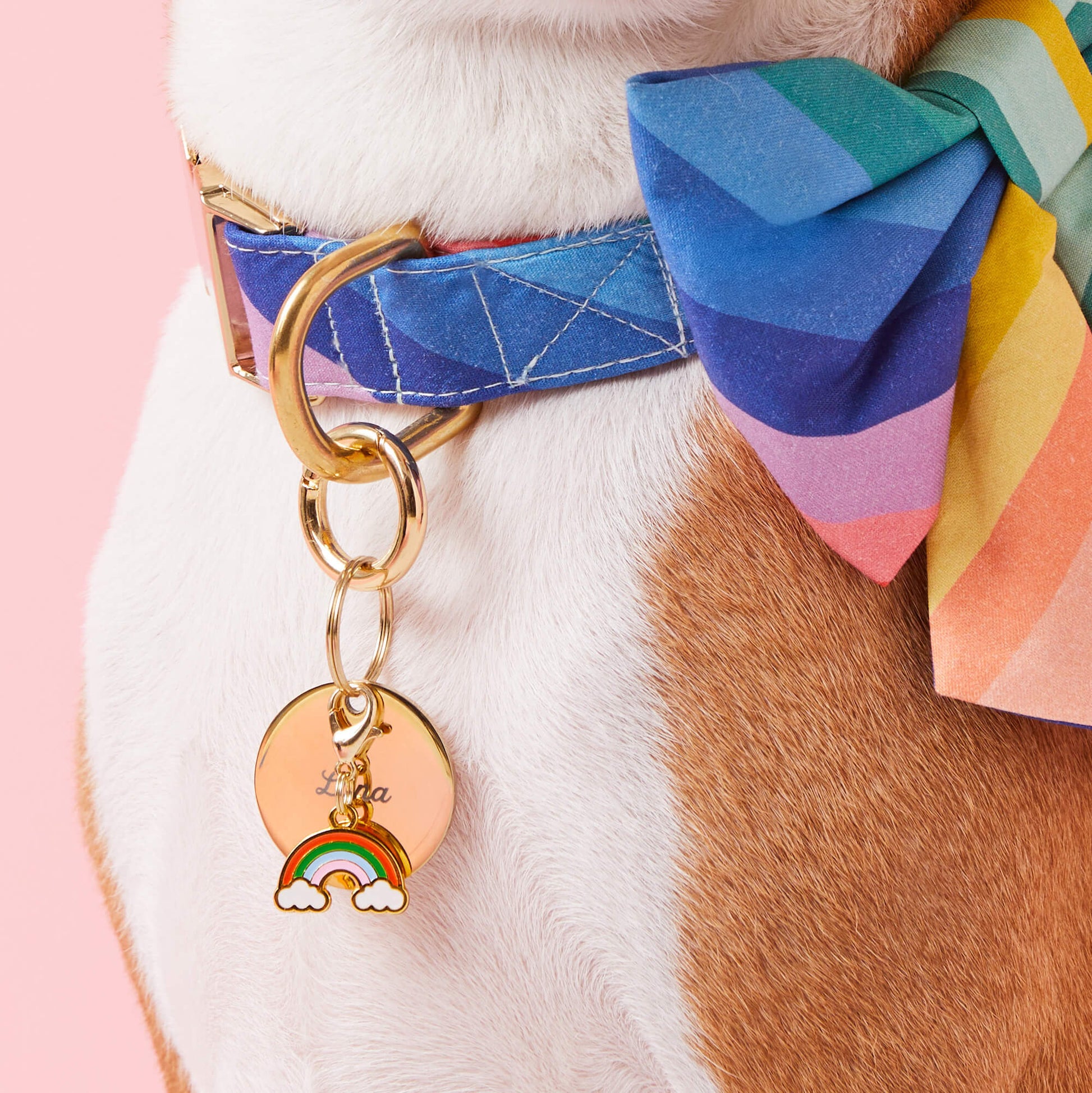 Rainbow Collar Charm from The Foggy Dog