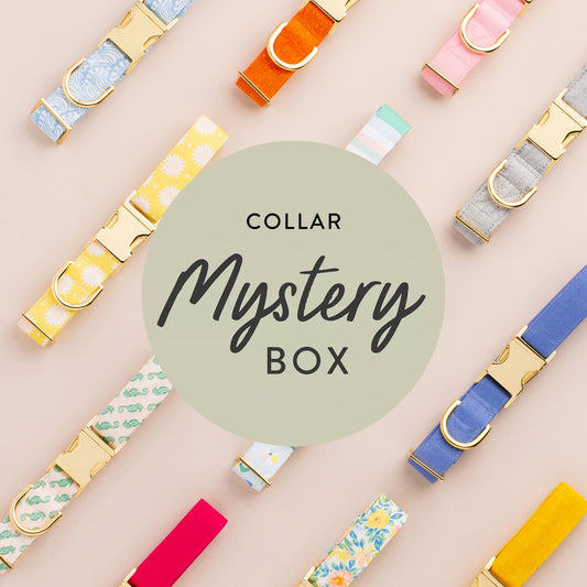 Collar Mystery Box from The Foggy Dog