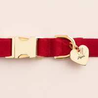 Ruby Dog Collar from The Foggy Dog 