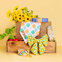 Rainbow Gingham Waste Bag Dispenser from The Foggy Dog