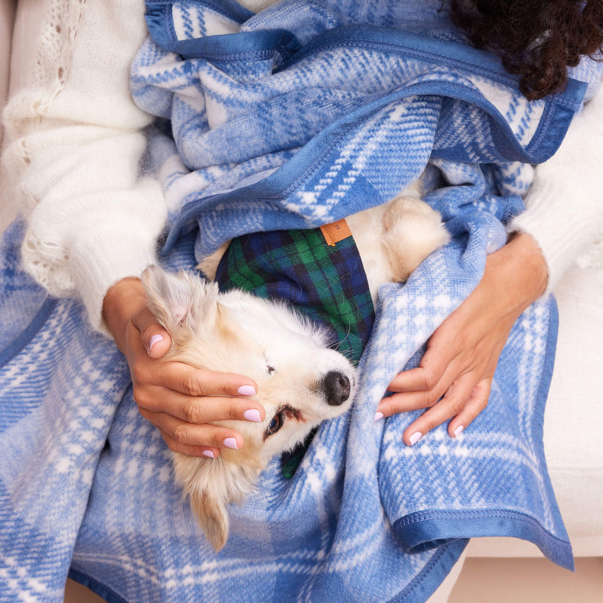 ChappyWrap x TFD Blue Frost Plaid Dog Blanket from The Foggy Dog