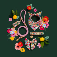 Rifle Paper Co. x TFD Garden Party Dog Collar from The Foggy Dog