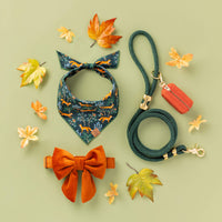 Pumpkin Velvet Lady Bow Collar from The Foggy Dog