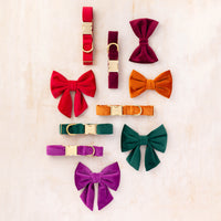 Luxe Velvet Collars, Lady Bows, and Bow Ties from The Foggy Dog