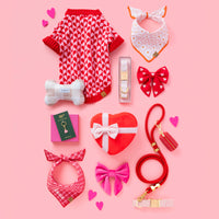 Valentine's Day Heart Stripe Sweater, Fresh as a Daisy Bandana, Toys, Charms, Hot Pink Velvet Lady Bow, Ruby Waste Bag and Leash, and Red Stripe Walk Set from The Foggy Dog