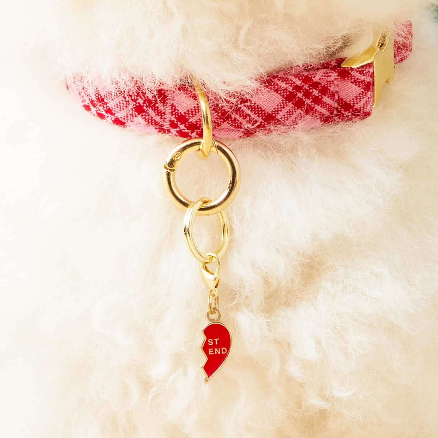 BFF Hearts Collar Charm Set