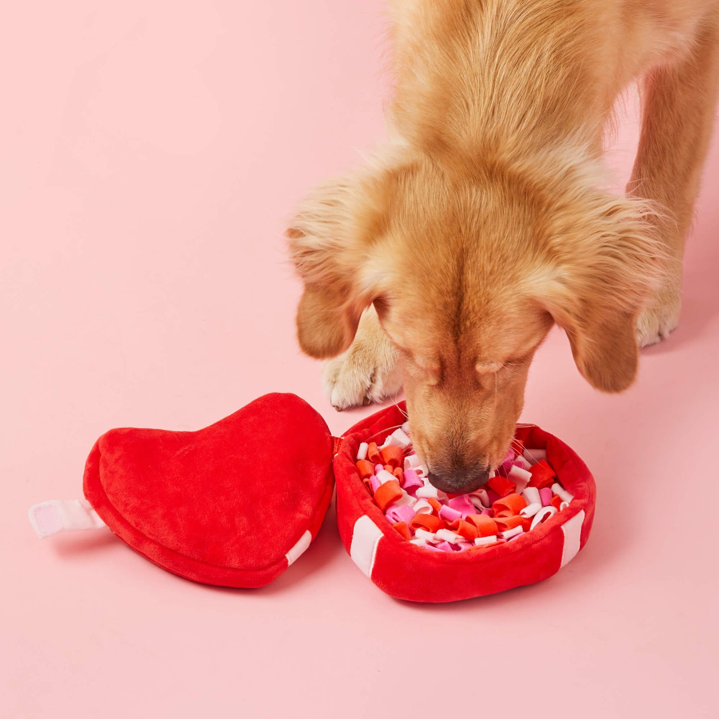 Be My Valentine Interactive Snuffle Dog Toy