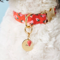 Circle pet ID tag from The Foggy Dog