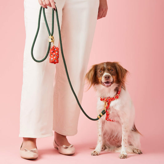 #Modeled by Ollie (23lbs) in a Medium harness and Standard leash