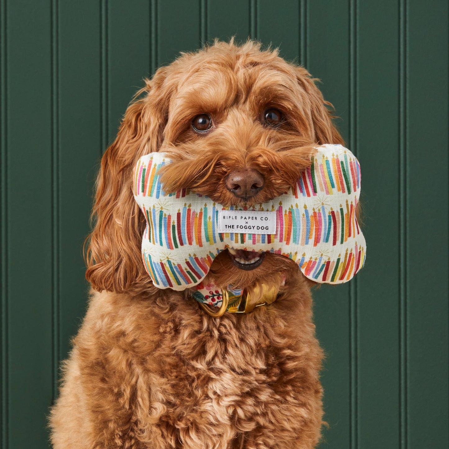 Rifle Paper Co. x TFD Birthday Candles Dog Squeaky Toy from The Foggy Dog