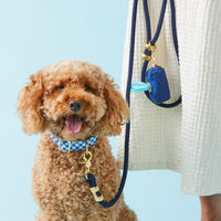 #Modeled by Utah (25lbs) in a Medium collar and Standard leash