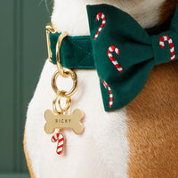 Bone pet ID tag, Pet Tag Keeper, Candy Cane Charm, Candy Canes Embroidered Bow Tie Collar from The Foggy Dog