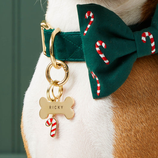 Bone pet ID tag, Pet Tag Keeper, Candy Cane Charm, Candy Canes Embroidered Bow Tie Collar from The Foggy Dog