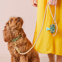 Flax Marine Rope Dog Leash (Standard/Petite) from The Foggy Dog 