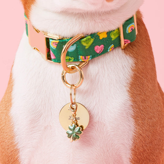 Lucky Clover Collar Charm from The Foggy Dog