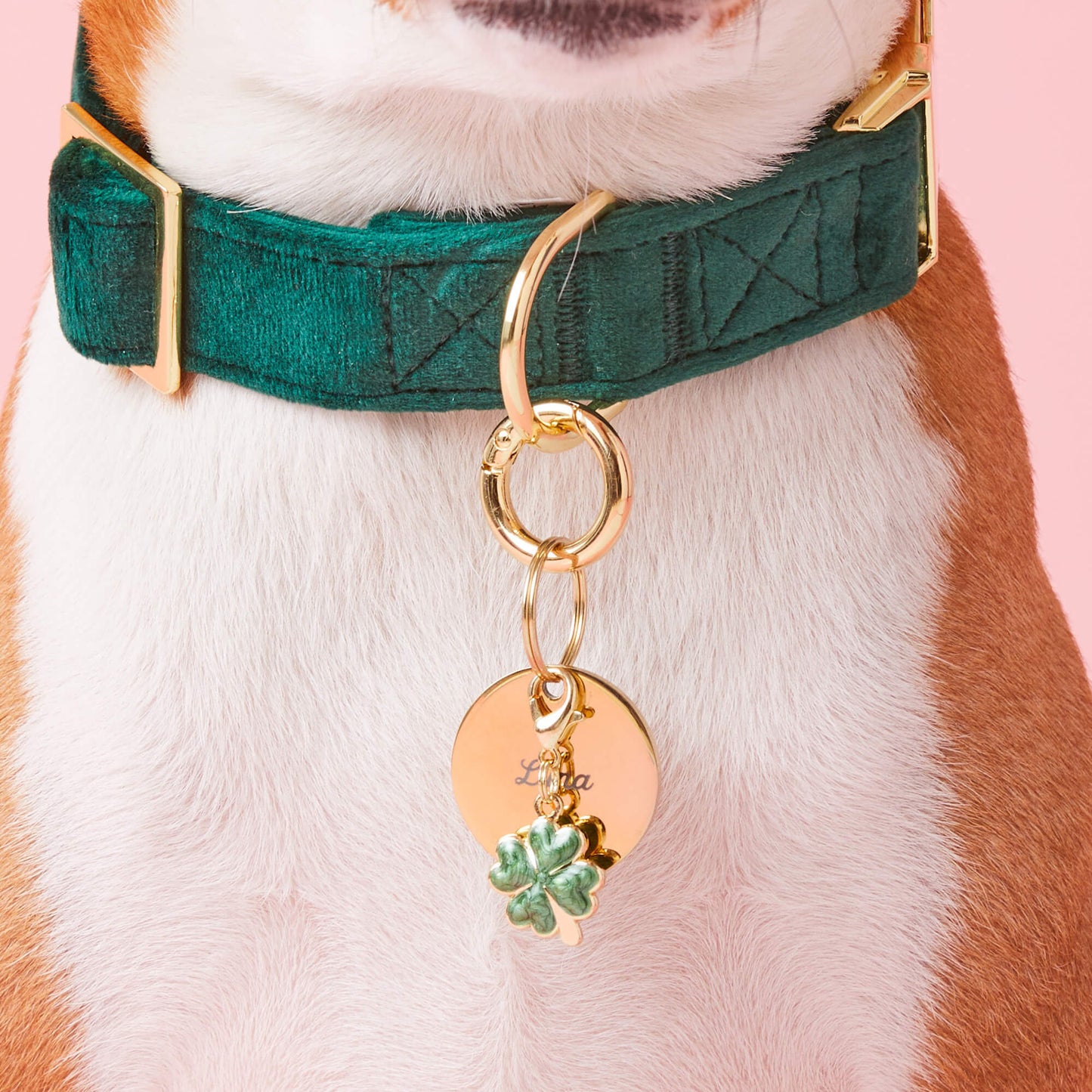 Lucky Clover Collar Charm from The Foggy Dog