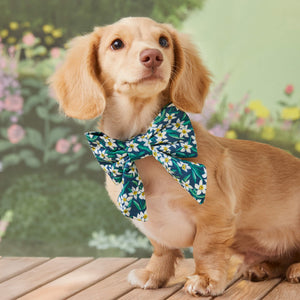 #Modeled by Finley (5lbs) in a Large lady bow