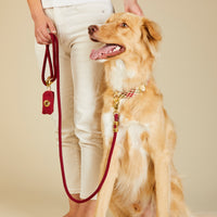 #Modeled by Kina (60lbs) in a Large collar and Standard leash