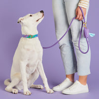 Violet Marine Rope Dog Leash from The Foggy Dog