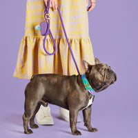 Violet Marine Rope Dog Leash from The Foggy Dog