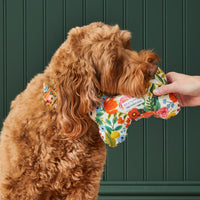 Rifle Paper Co. x TFD Garden Party Dog Squeaky Toy from The Foggy Dog