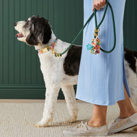 #Modeled by Reese (40lbs) in a Medium collar and Standard leash