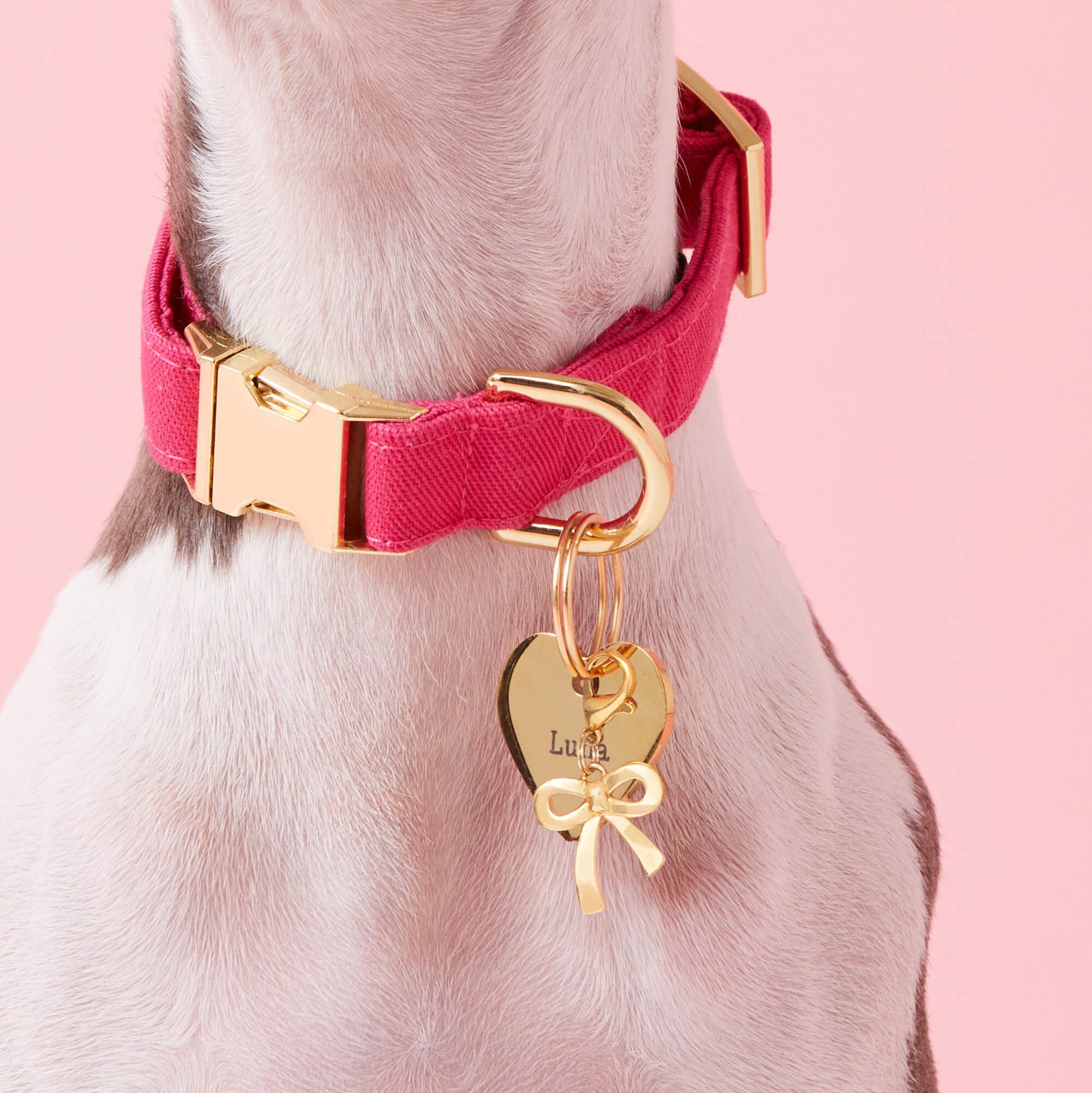 Gold Bow Collar Charm from The Foggy Dog