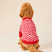 #Modeled by Poppy (18lbs) in Medium