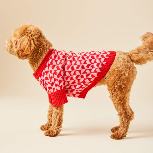 #Modeled by Poppy (18lbs) in Medium