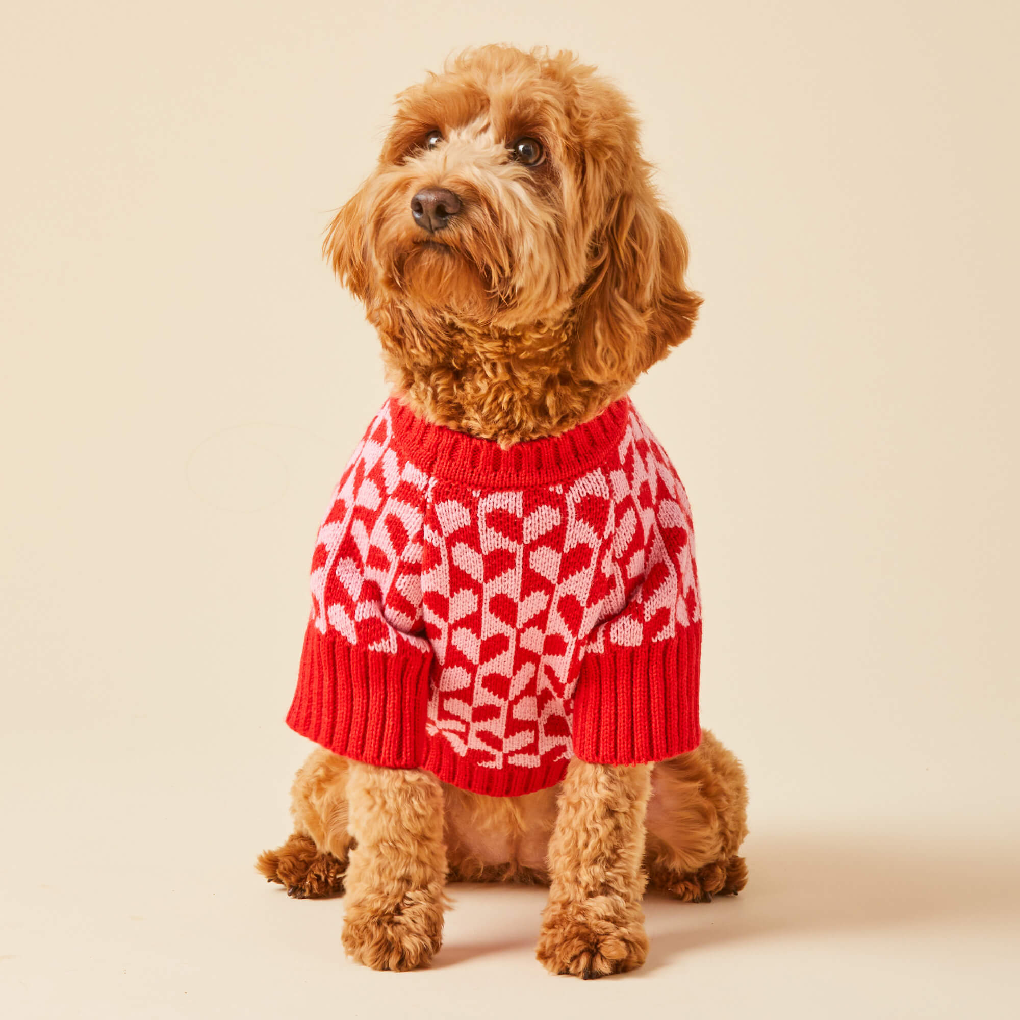 Heart Stripe Dog Sweater from The Foggy Dog