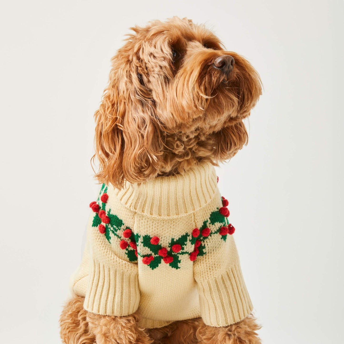 Holly Bobble Dog Sweater from The Foggy Dog