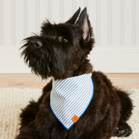 #Modeled by Bastian (30lbs) in Medium