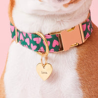 #Modeled by Ricky (40lbs) in a Large pet ID tag