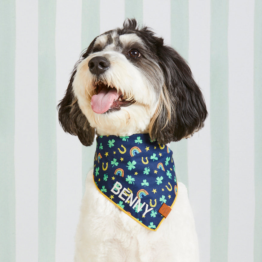 Bandana sales on puppy