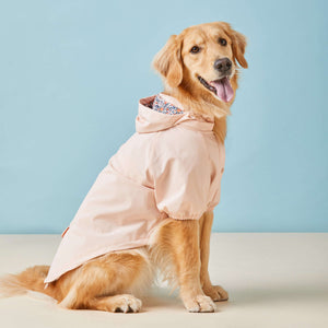 #Modeled by Holly (49lbs) in Large