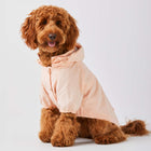 Petal Pink Dog Raincoat