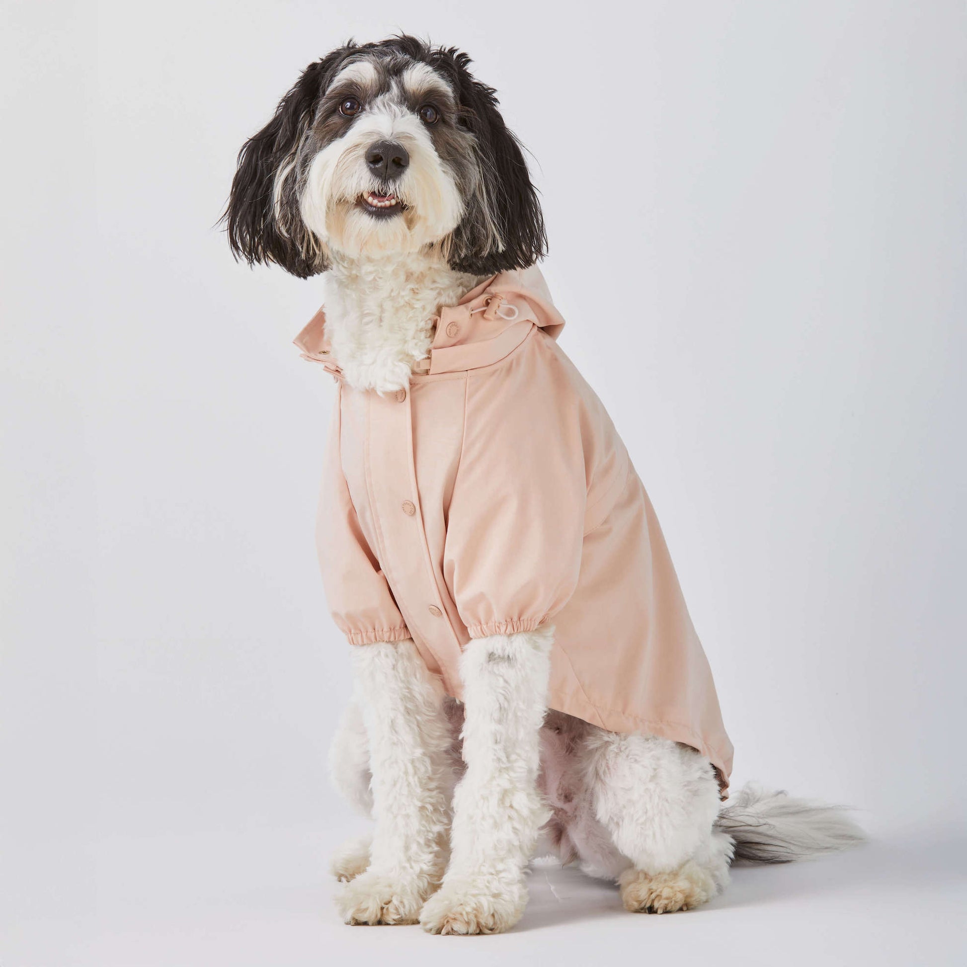 #Modeled by Reese (40lbs) in Large