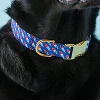 #Modeled by Koda (56lbs) in Medium