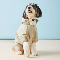 #Modeled by Reese (40lbs) in Large