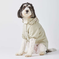 Sage Dog Raincoat from The Foggy Dog